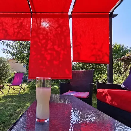 Logis Restaurant La Barguillere 2* Saint-Pierre-de-Rivière