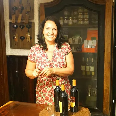 Logis Restaurant La Barguillere Hotel Saint-Pierre-de-Rivière