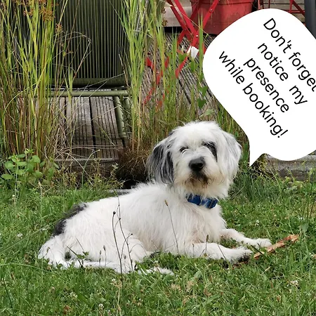 Logis Restaurant La Barguillere