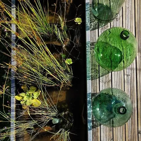 Hotel Logis Restaurant La Barguillere