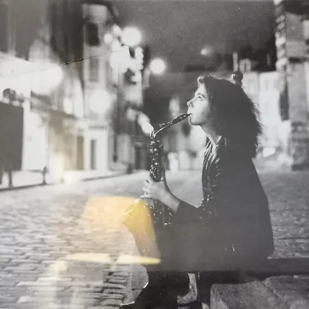 Logis Restaurant La Barguillere Saint-Pierre-de-Rivière