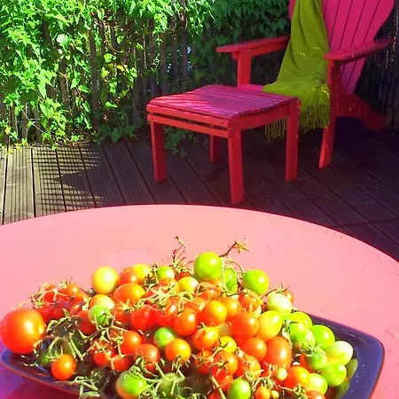 Ξενοδοχείο Logis Restaurant La Barguillere